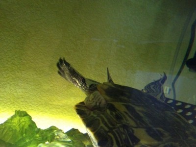 image.jpg (95.91 KiB) Viewed 10162 times image.jpg