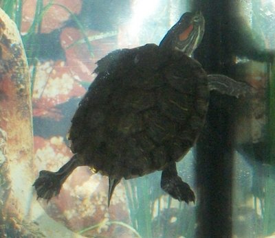 100_0943.JPG