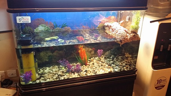 20150218_212207.jpg