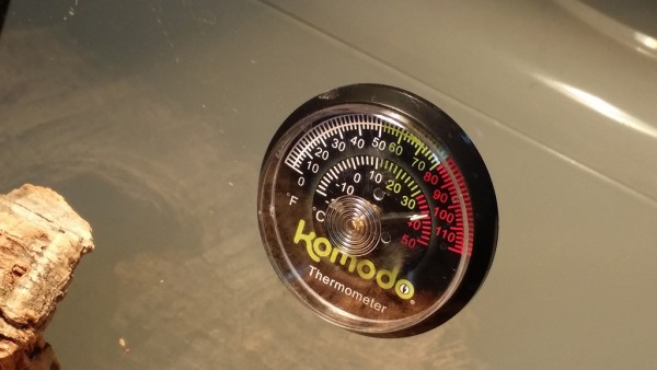 20150218_212304.jpg