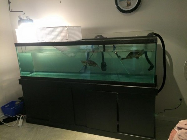tank3.jpg