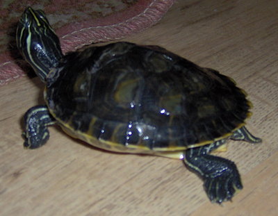 HPIM0309.JPG