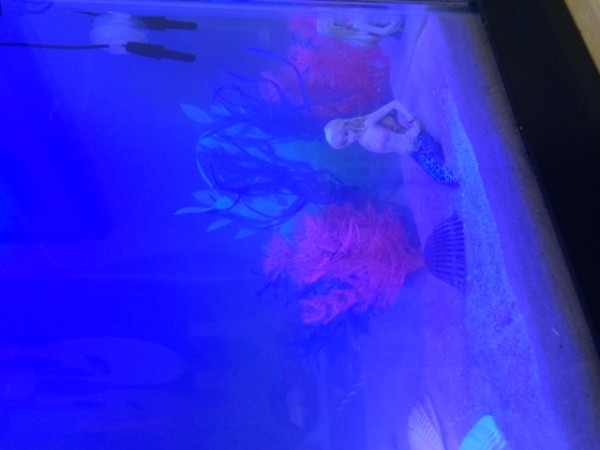 03162015 Sand Cleaning 10.JPG
