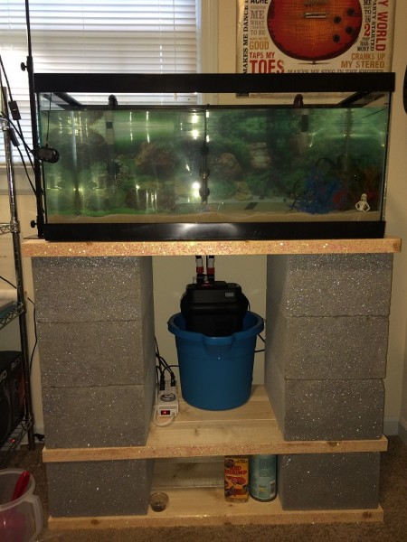 03302015 Fluval 406 (3).JPG (229.2 KiB) Viewed 34529 times 03302015 Fluval 406 (3).JPG