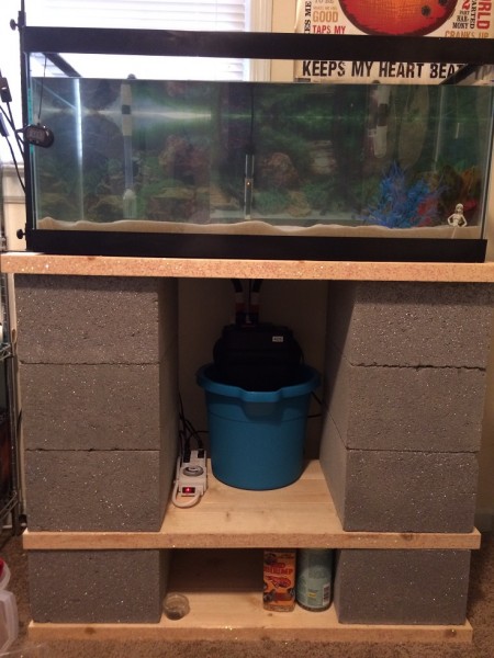 03302015 Fluval 406 (4)a.jpg (259.99 KiB) Viewed 36312 times 03302015 Fluval 406 (4)a.jpg