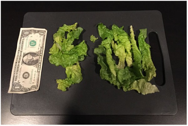 lettuce.jpg