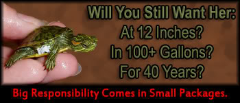 resbanner.jpg