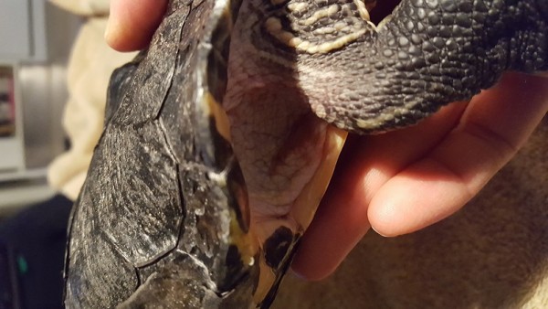 20161219_220014.jpg