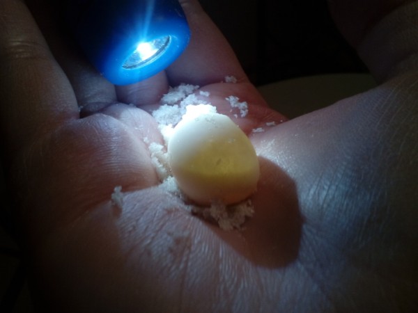 egg2.jpg