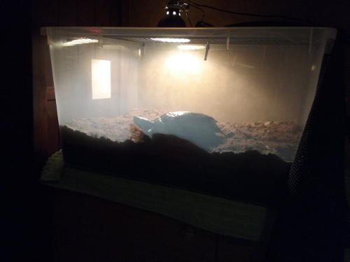 20170305_182533.jpg
