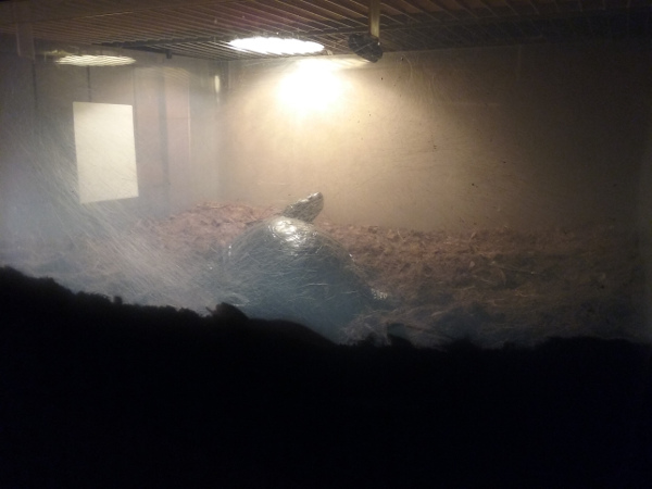 20170322_213134.jpg
