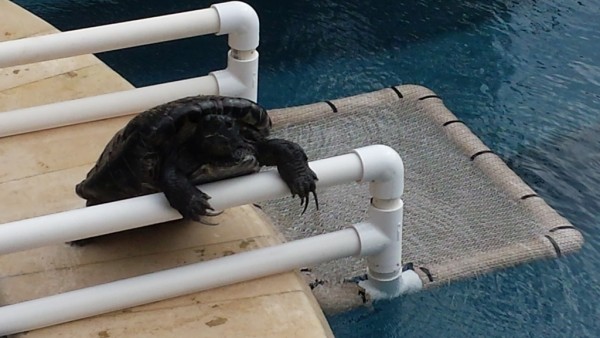 20151112_135503.jpg (395.72 KiB) Viewed 72571 times 20151112_135503.jpg