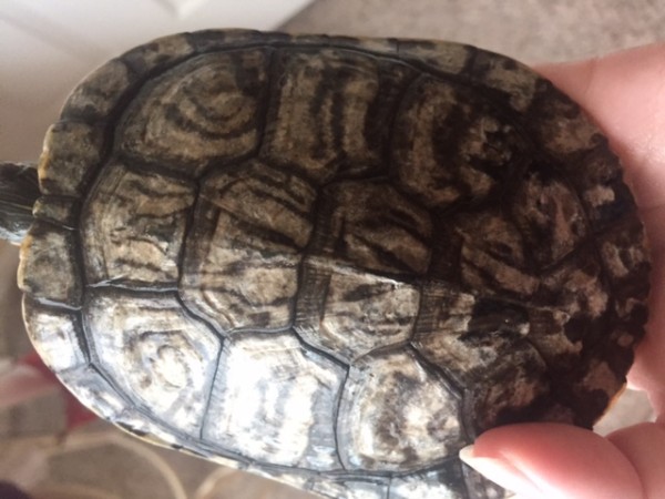 IMG_9107.JPG