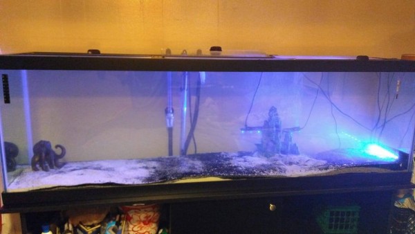 120tank.jpg
