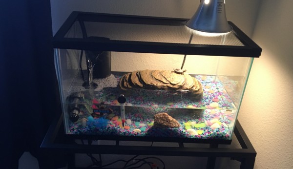 tank 1.jpg