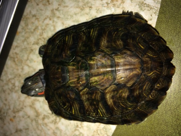 Optimized-IMG_4961.jpg