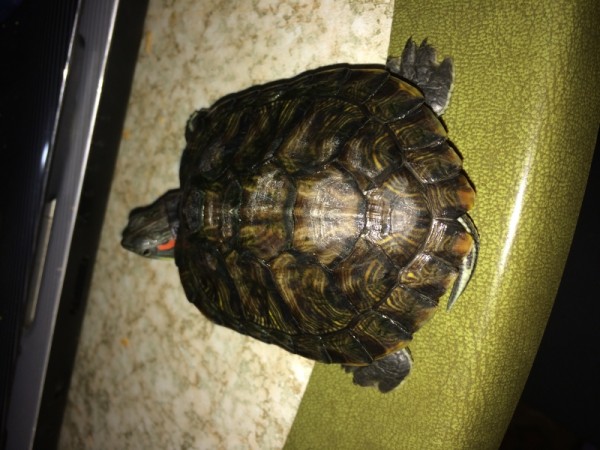 Optimized-IMG_4965.jpg