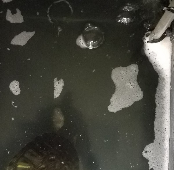 20180222_180737.jpg