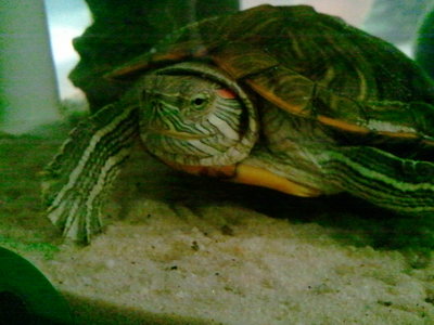 2011-04-13 15.16.06.jpg