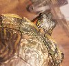 20180518_110524.jpg