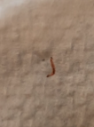 0A12FAFA-99B4-404C-96D1-5511BF6FB5D3.png