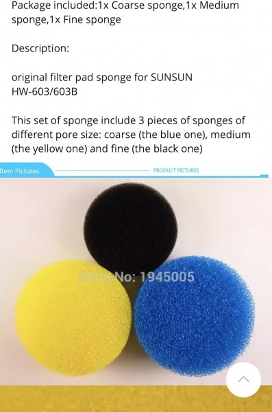 Untitled.jpg