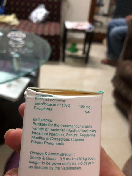 WhatsApp Image 2019-07-19 at 9.05.37 AM.jpeg