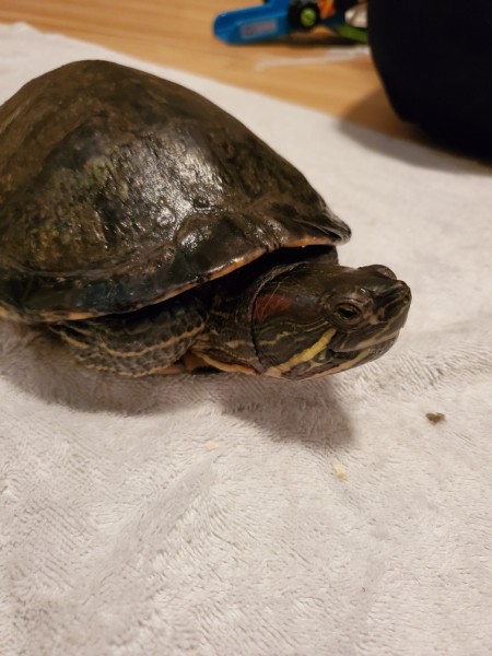 Resized_20191010_161005.jpeg