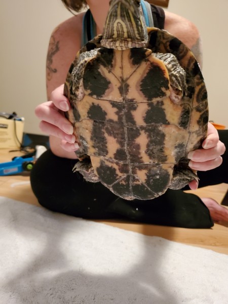 Resized_20191010_160934.jpeg