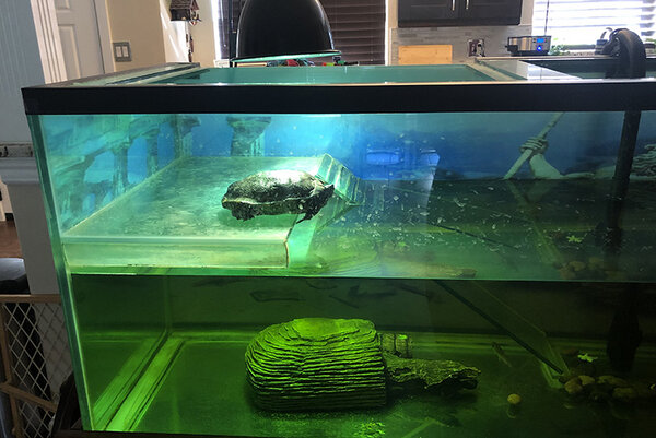 Tank 2.jpg