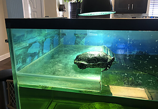 Tank 1.jpg