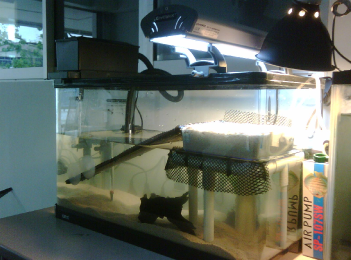 image2993.jpg.png