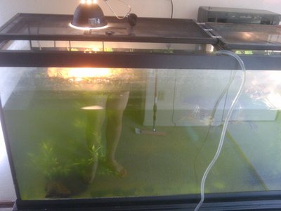 2011-08-13 15.17.36.jpg