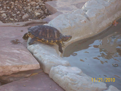 100_3023.jpg